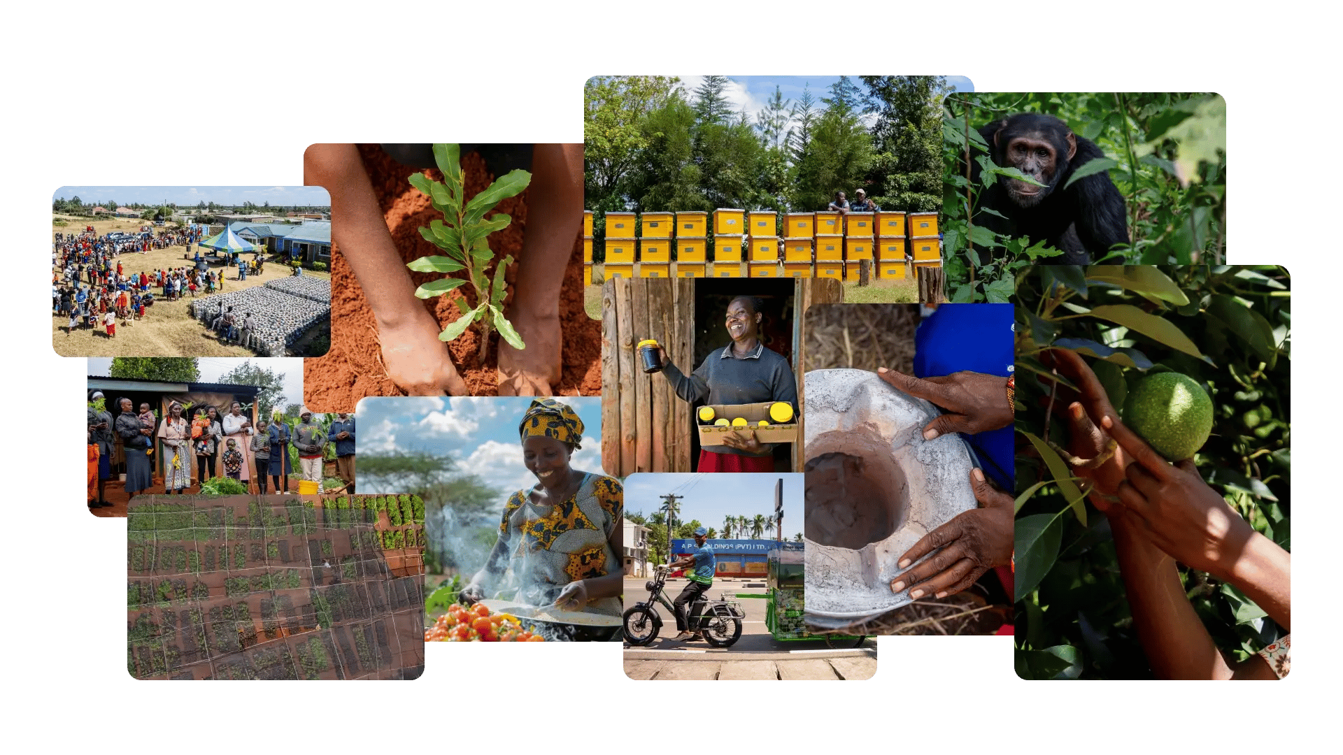 _landing page_green earth capital_projects in action