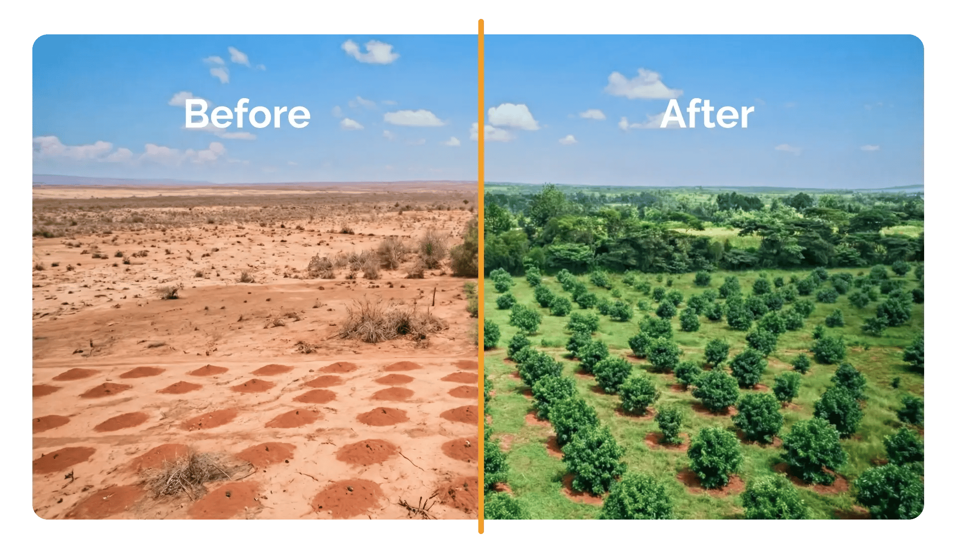 _landing page_green earth capital_what we do-1