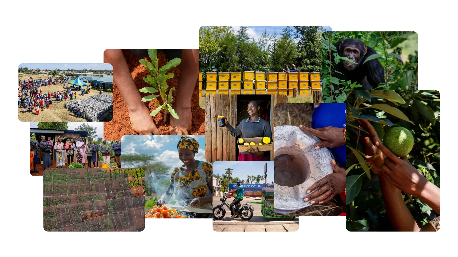 _landing page_green earth capital_projects in action