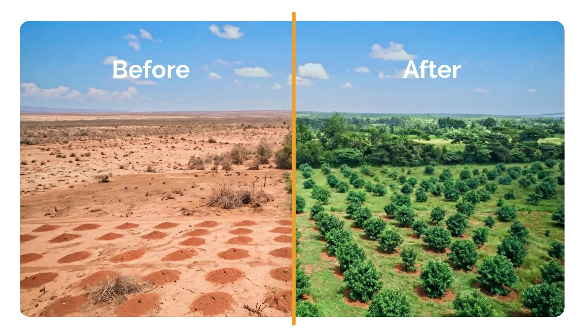 _landing page_green earth capital_what we do-1